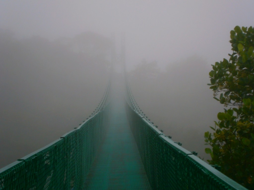 hanging bridge in monteverde costa rica