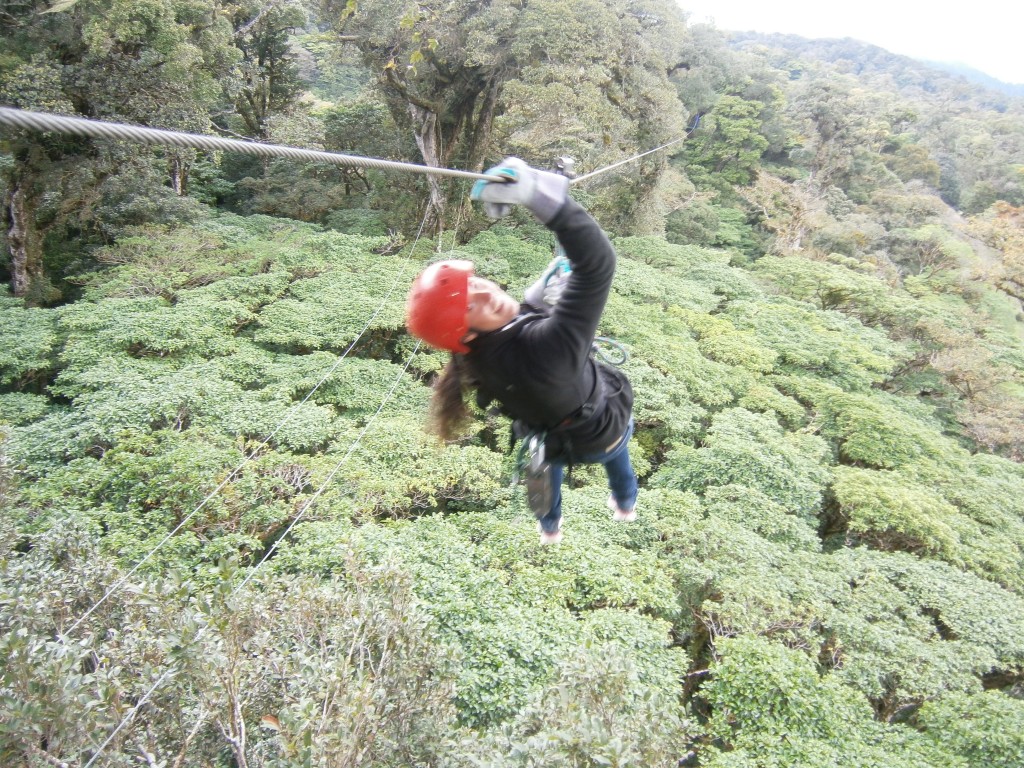 Zipline above the canopy in Monteverde Costa Rica: ziplining in costa ricas cloud forest