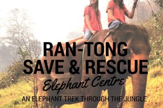 ran-tong elephant save and rescue