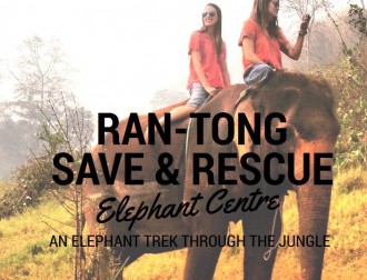 ran-tong elephant save and rescue