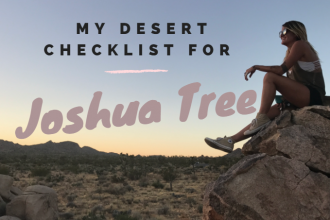 things to do in joshua tree