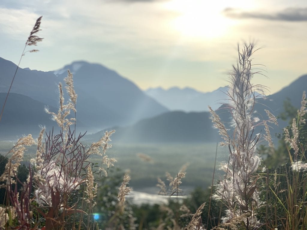 Harding Icefield Trail in Kenai Fjords Alaska