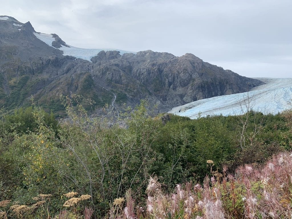 Harding Icefield Trail in Kenai Fjords Alaska