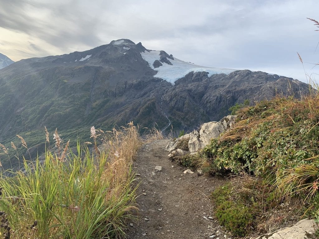 Harding Icefield Trail in Kenai Fjords Alaska