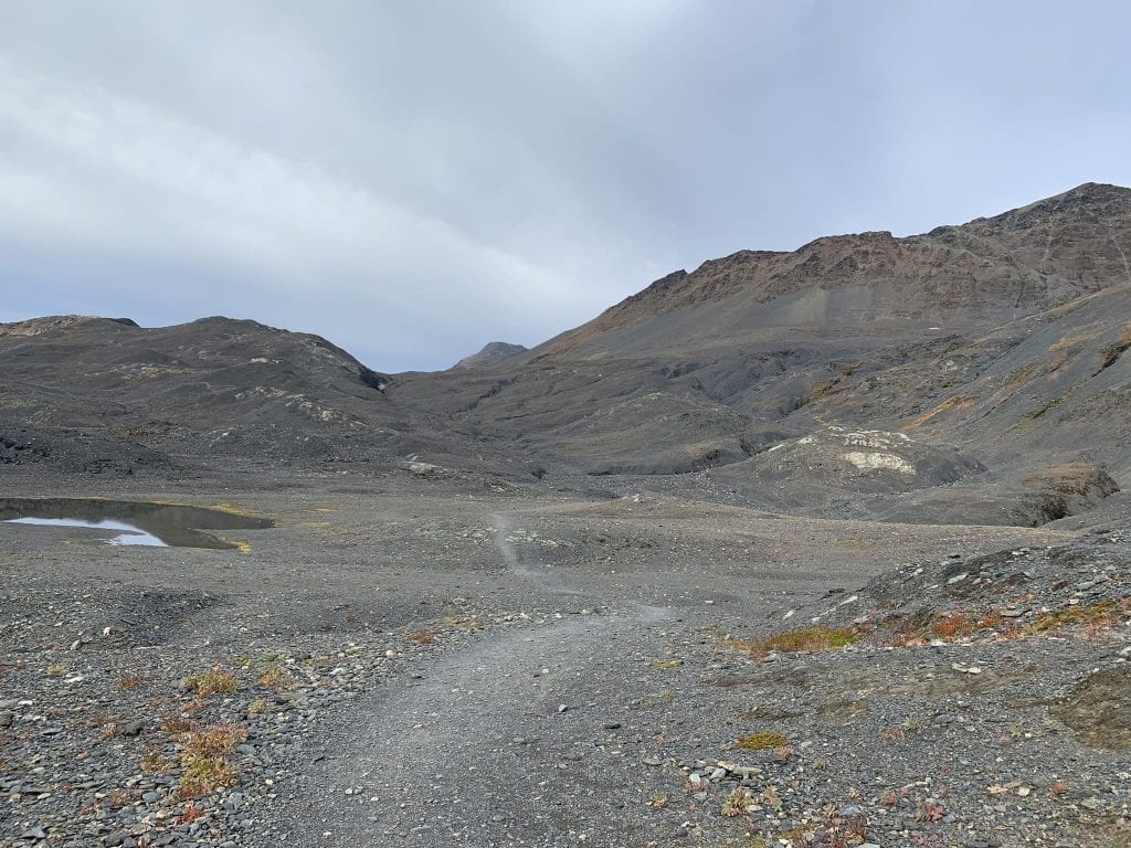 Harding Icefield Trail in Kenai Fjords Alaska