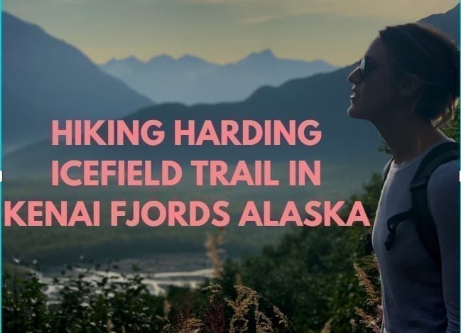 Harding Icefield Trail in Kenai Fjords Alaska