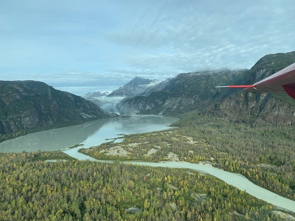 brown bear tour lake clark Alaska