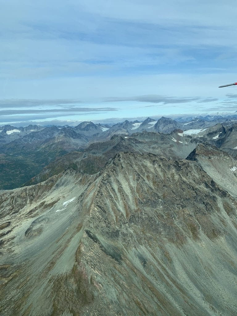 brown bear tour lake clark Alaska