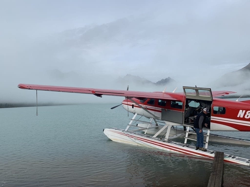 brown bear tour lake clark Alaska