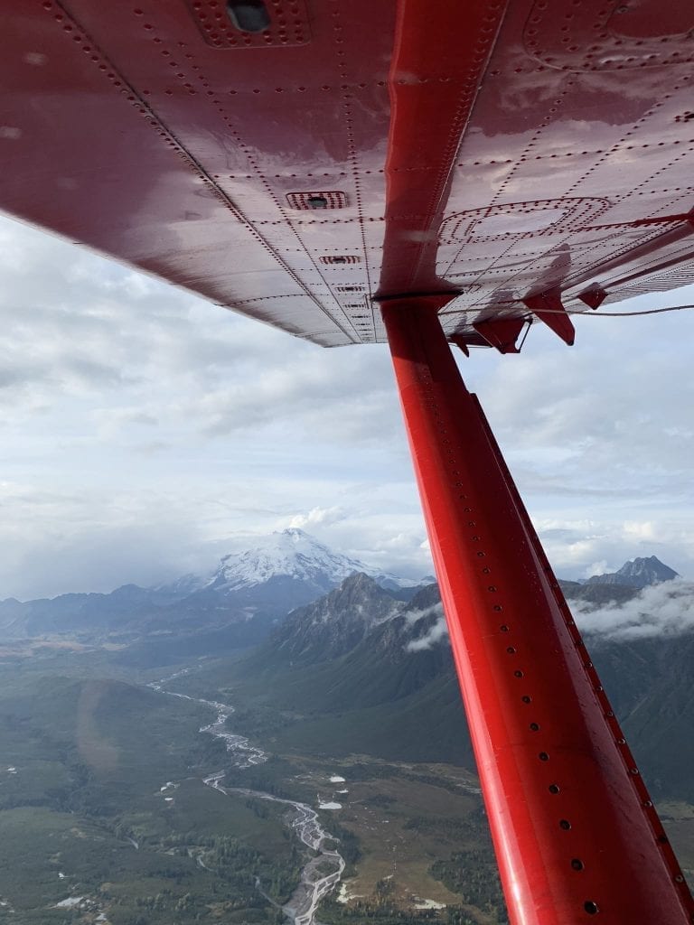 brown bear tour lake clark Alaska