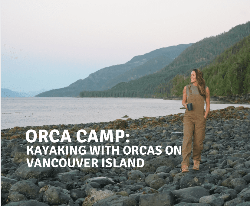 Orca camp